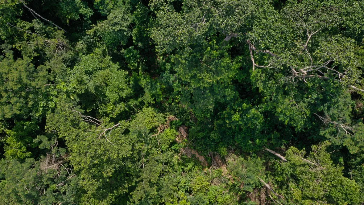 MP do Acre investiga uso irregular de agrotóxicos em 879,05 hectares