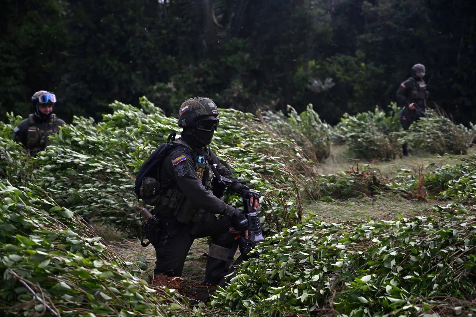 EUA planejam transferir US$ 52 milhões em ajuda militar para quatro países latino-americanos