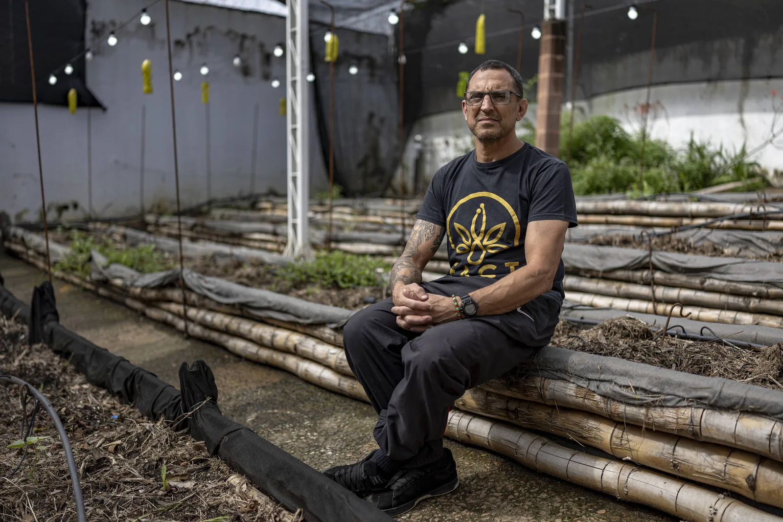 Polícia de SP prende membros de associações e destrói plantas de Cannabis medicinal