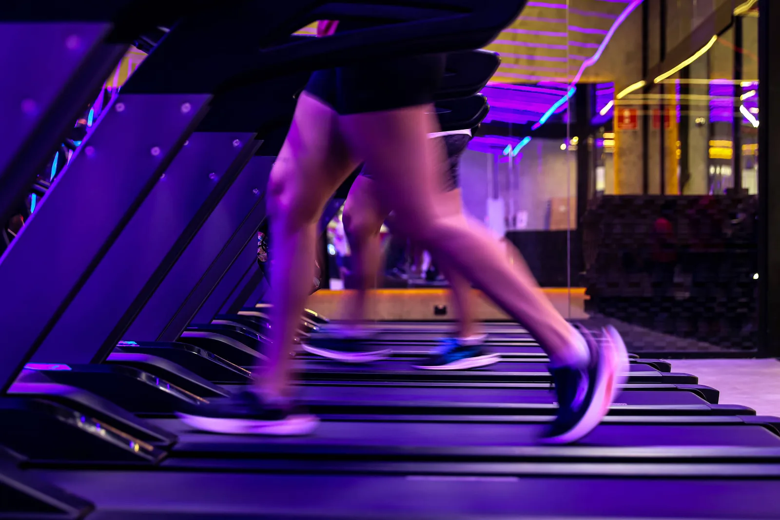 Memória celular pode acelerar a retomada dos exercícios, aponta pesquisa