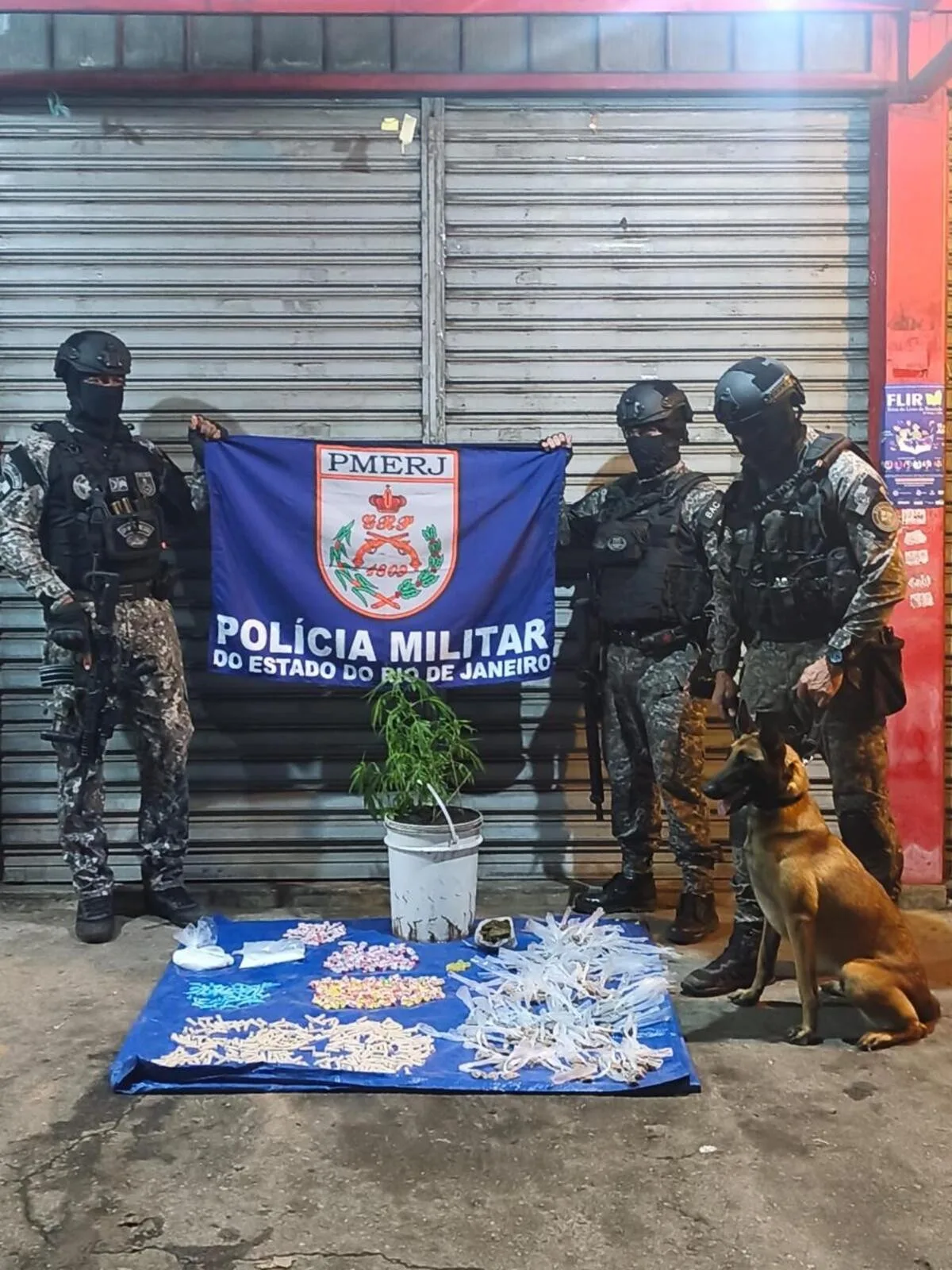 Ação com cães apreende drogas em residência em construção de Itatiaia
