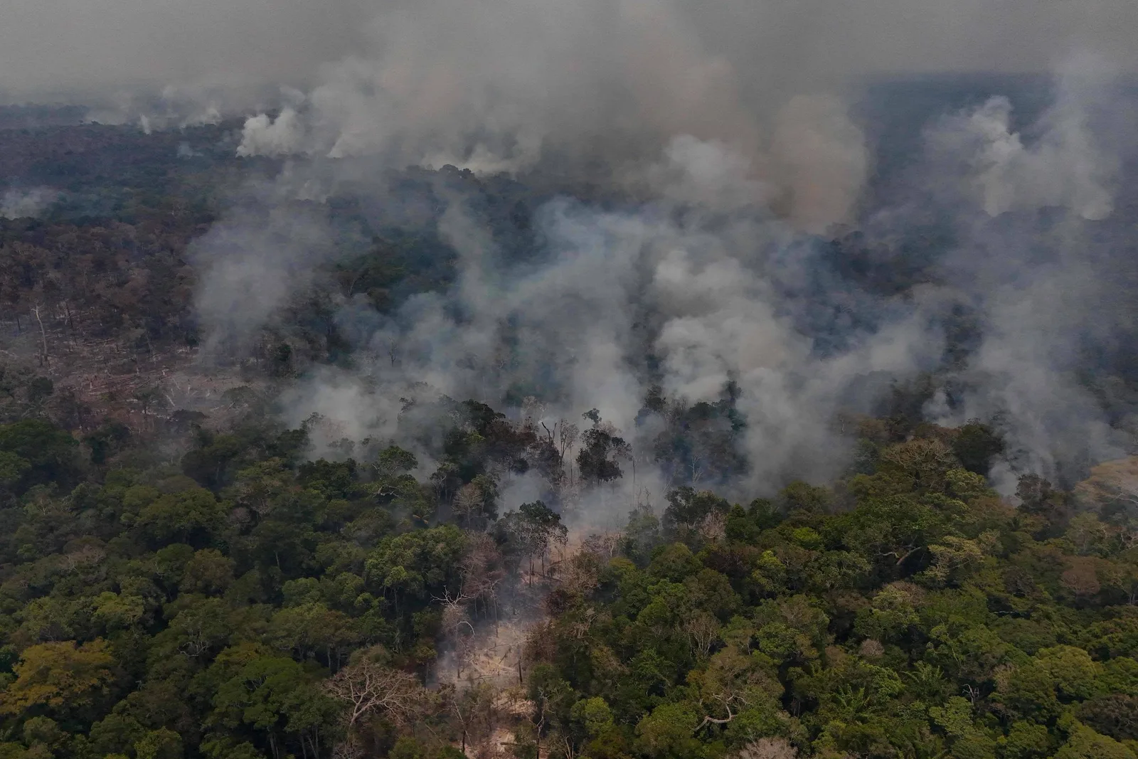 Focos em áreas preservadas levam governo a suspeitar de incêndios provocados no Amazonas