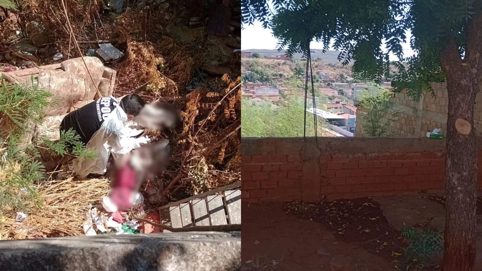 Polícia prende homem localizado sob árvore após morte em Picos