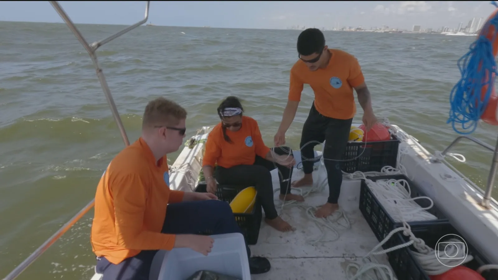 Equipe retoma expedições para localizar tubarões perto da costa de Pernambuco