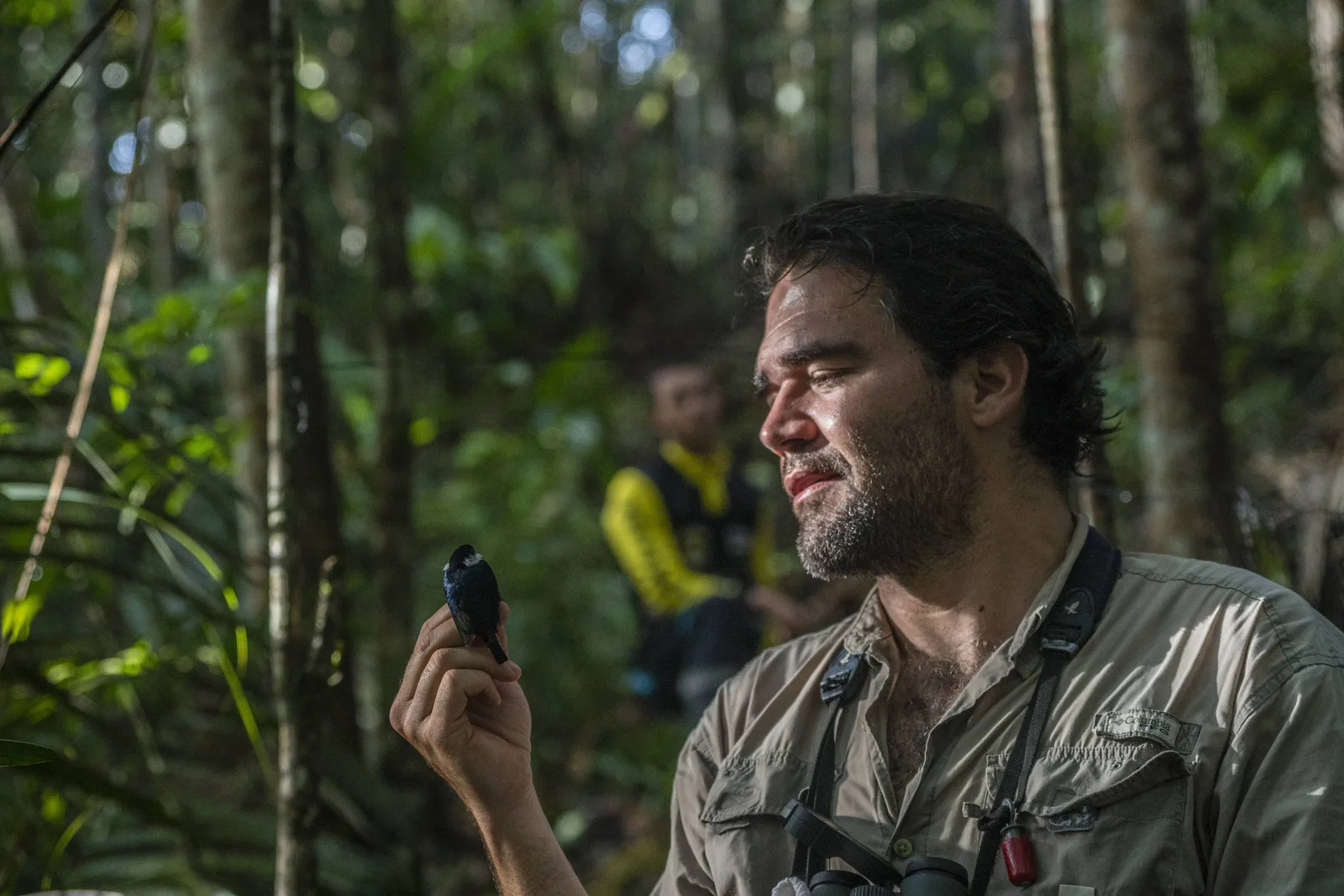 Aves aproximam ex-refém e antigos integrantes das Farc na Colômbia