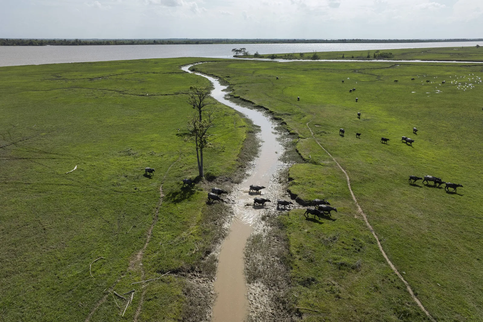 MPF pede cancelamento de quatro CARs dentro de reserva no Amapá
