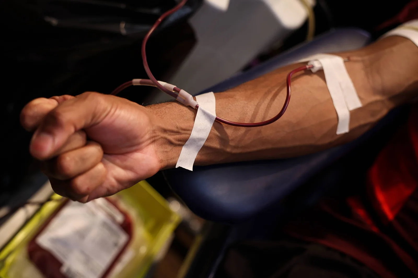 Testemunhas de Jeová passam a permitir escolha individual sobre componentes do sangue