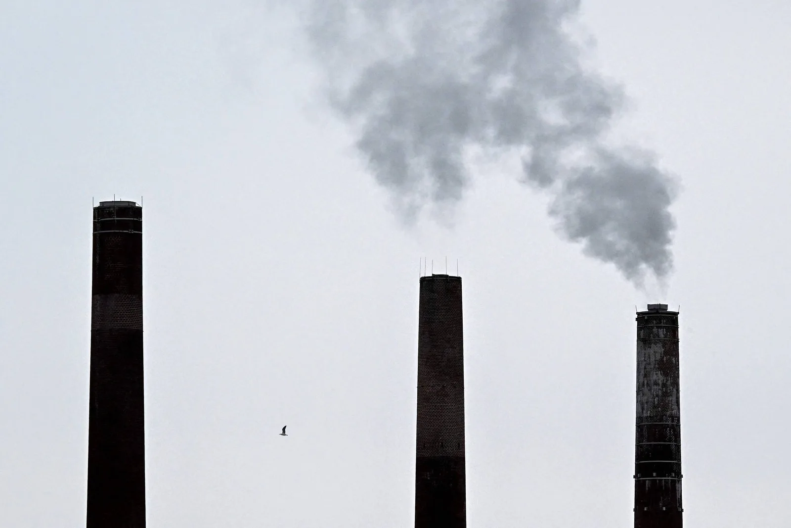Coalizão de mercados de carbono prepara plano comum entre Brasil, China e UE