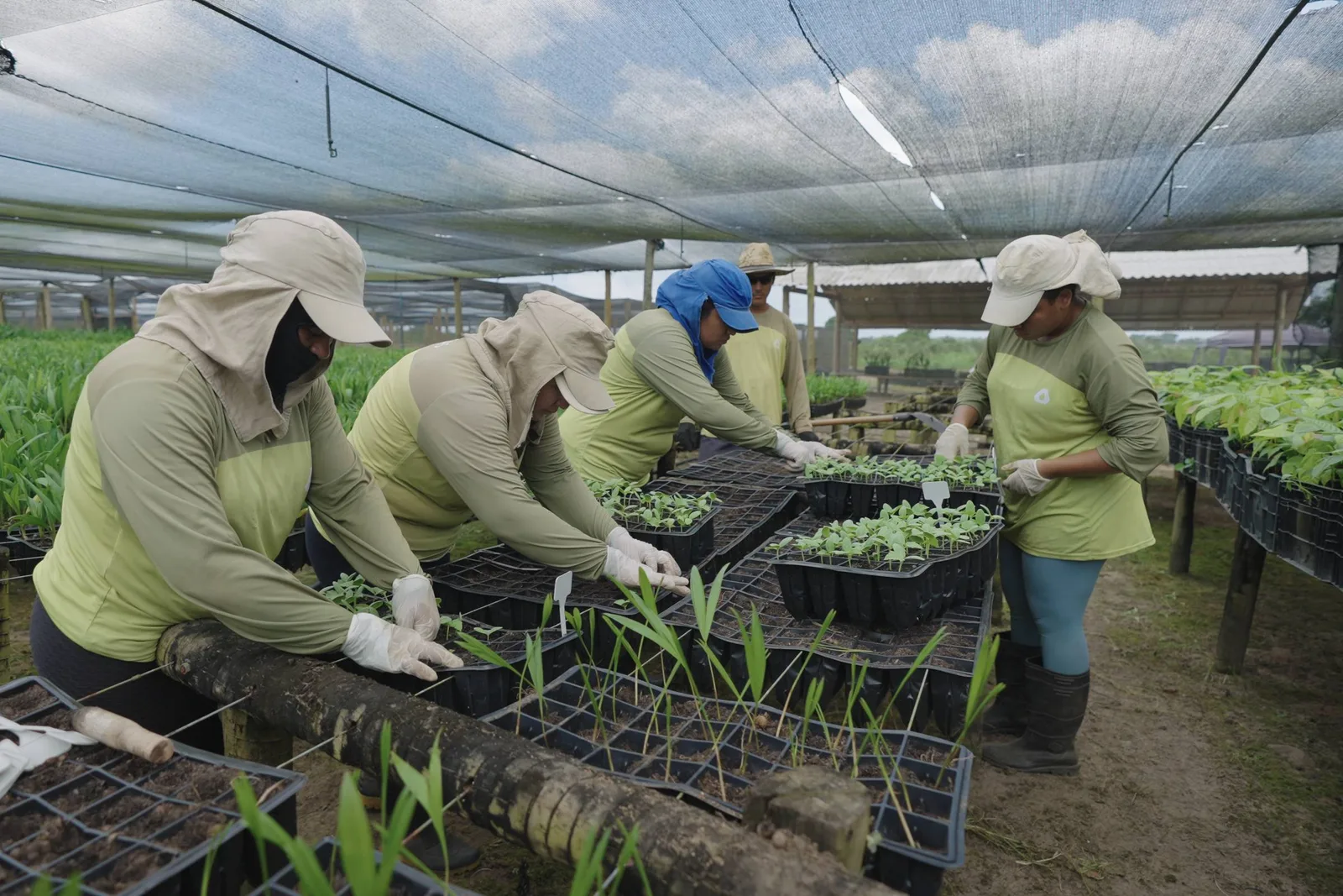 Garantias podem liberar R$ 10 bilhões para negócios sustentáveis, diz Climate Ventures