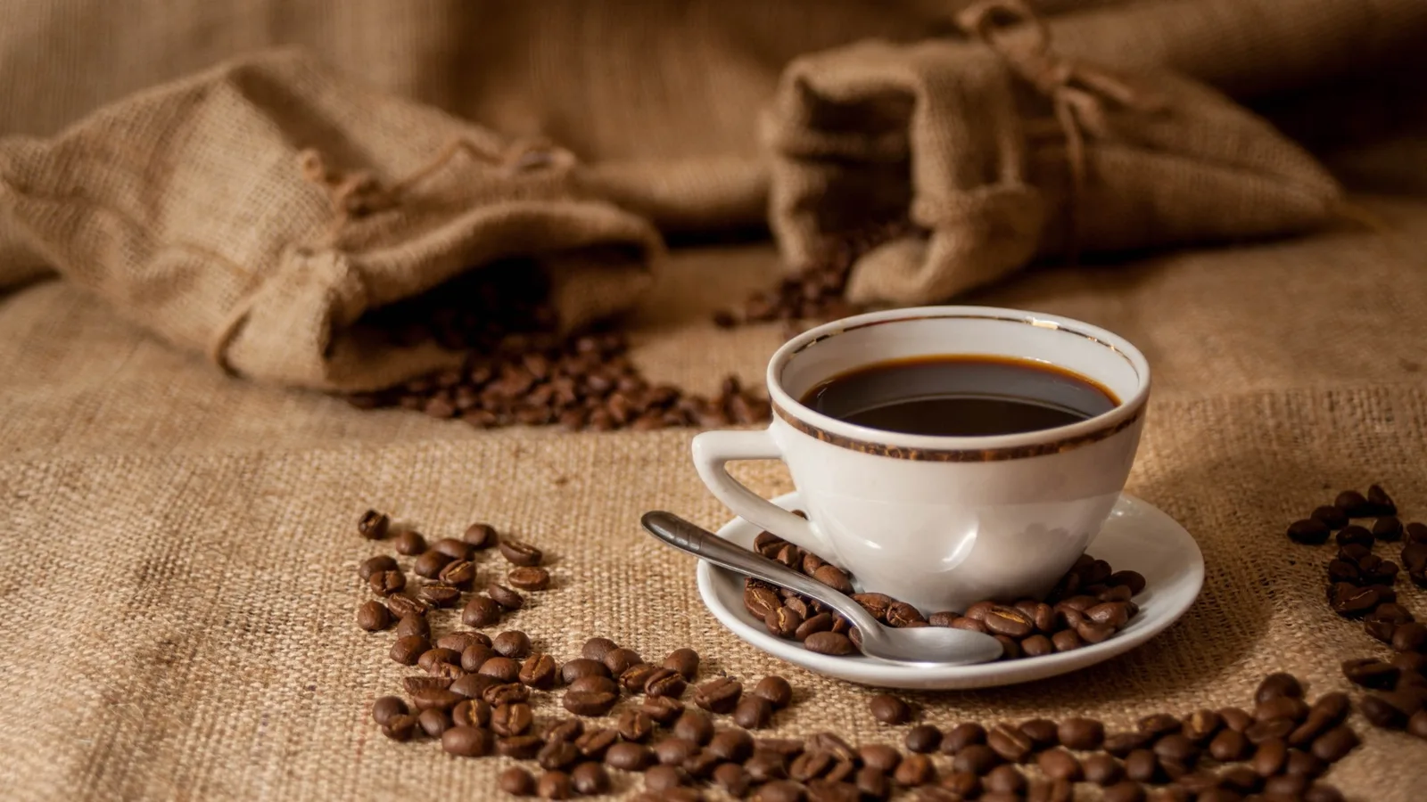 O que determina a resposta do organismo à cafeína