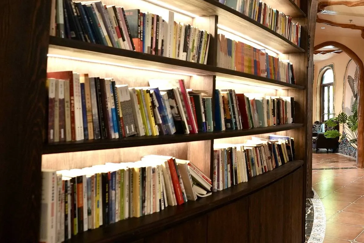 Disputa sobre direitos de livros trava divisão de acordo da Anthropic