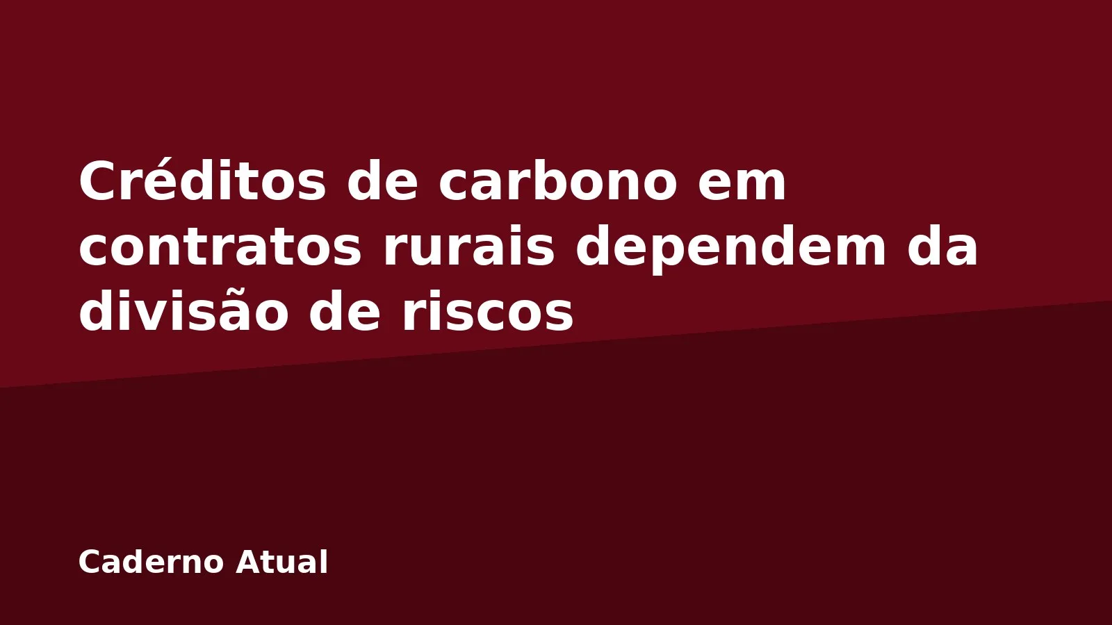 Créditos de carbono em contratos rurais dependem da divisão de riscos