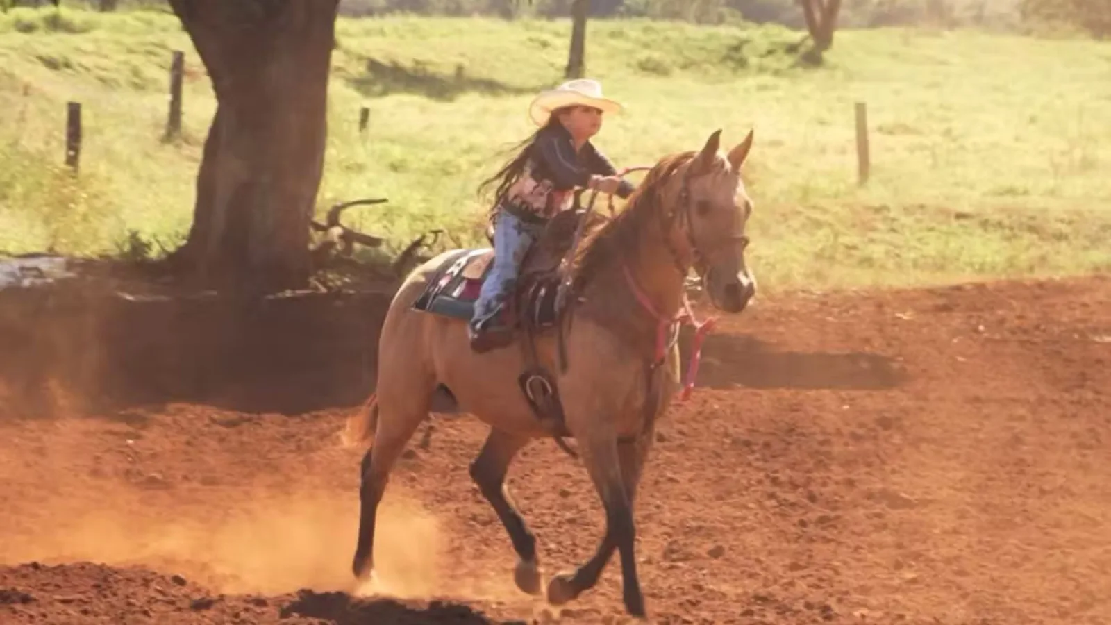 Antonelly, a “Poeirinha”, conquista as redes com rotina na fazenda