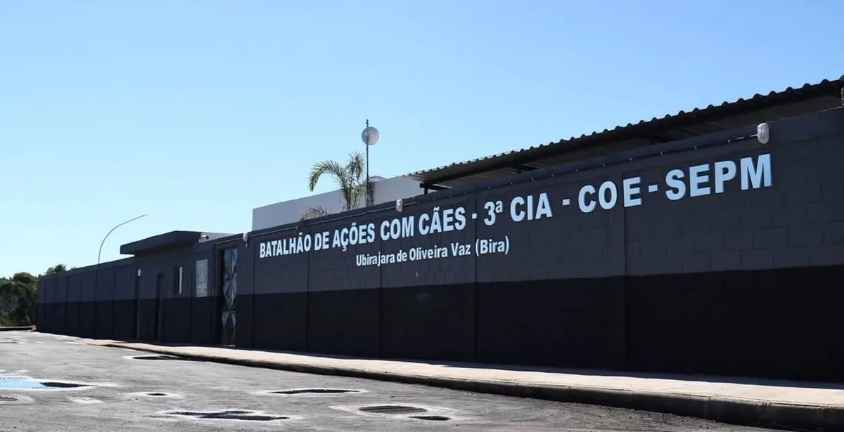 Cão localiza arma, munições e drogas durante busca em Volta Redonda