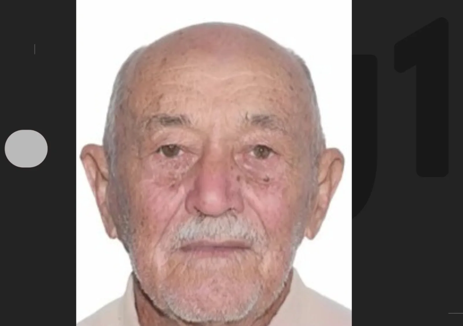 Homem de 86 anos morre após ataque de abelhas em Guanambi, na Bahia