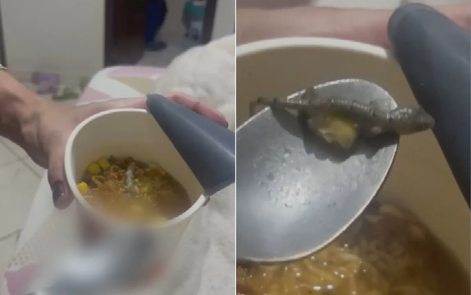 Justiça de Goiás fixa indenização após lagartixa ser encontrada em Cup Noodles