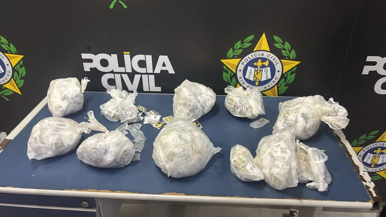 Cadela encontra crack escondido sob lona durante operação em Angra dos Reis