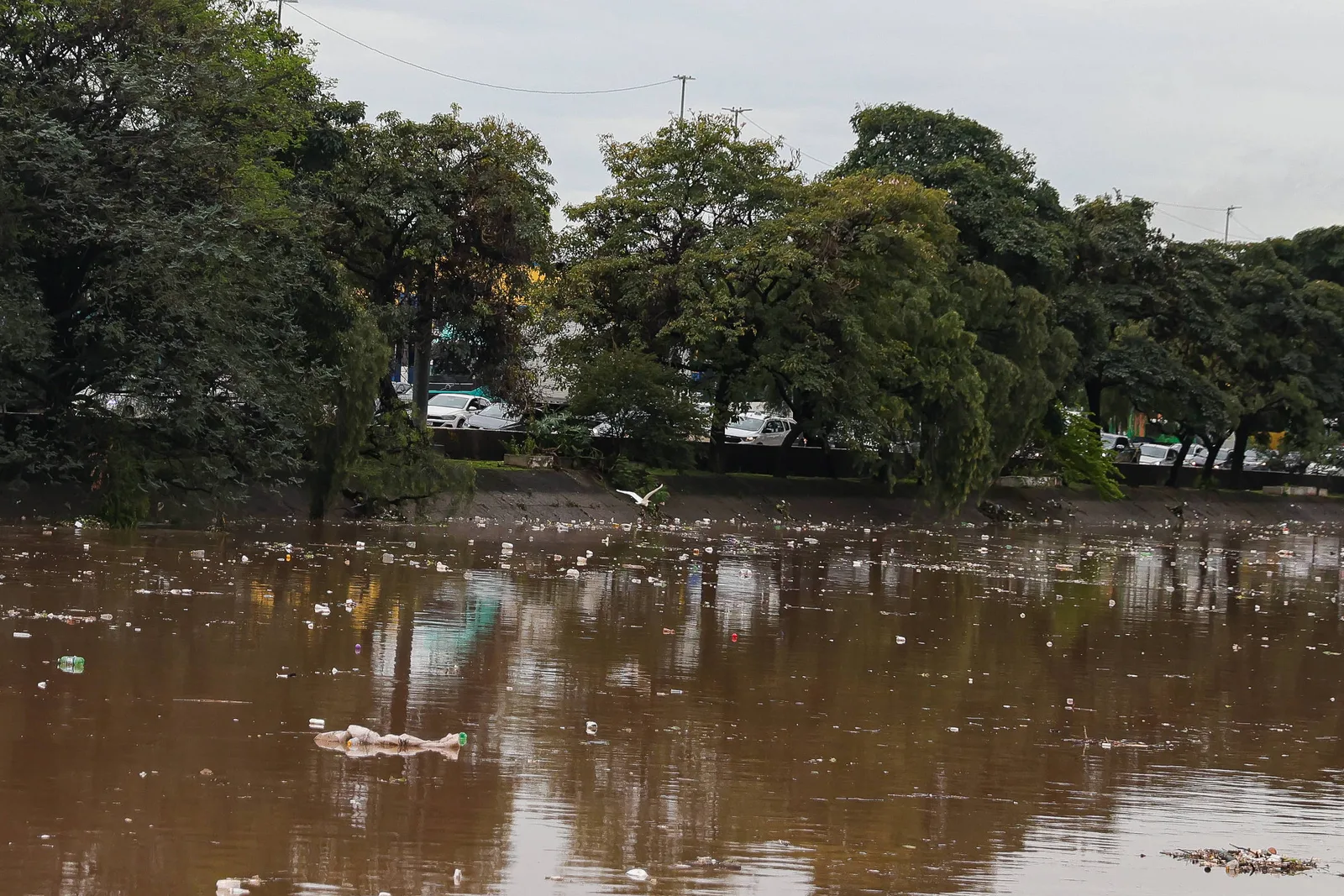Chuva pode elevar volume de setembro, já entre os mais úmidos em São Paulo