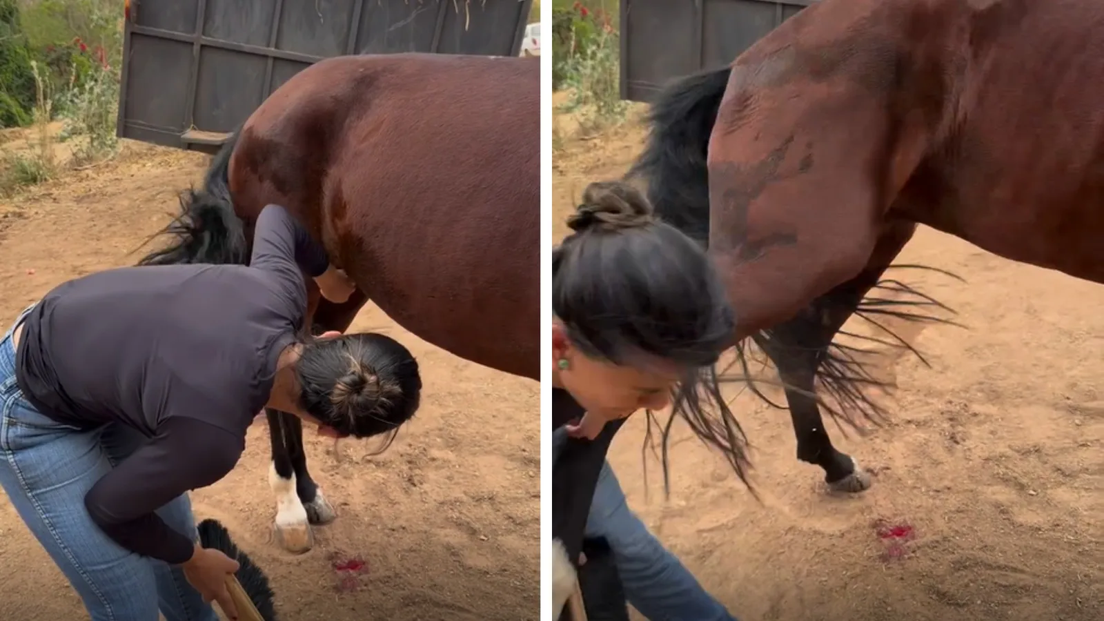 Ingrid Gusmão explica reação de cavalo após queda durante gravação