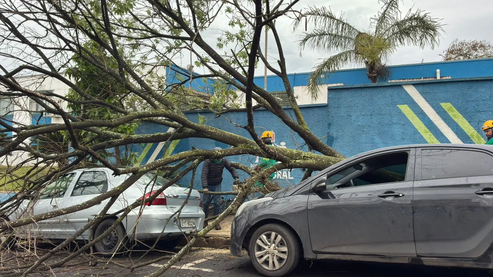 Árvore cai sobre carro e impede eleitora de votar em Piracicaba