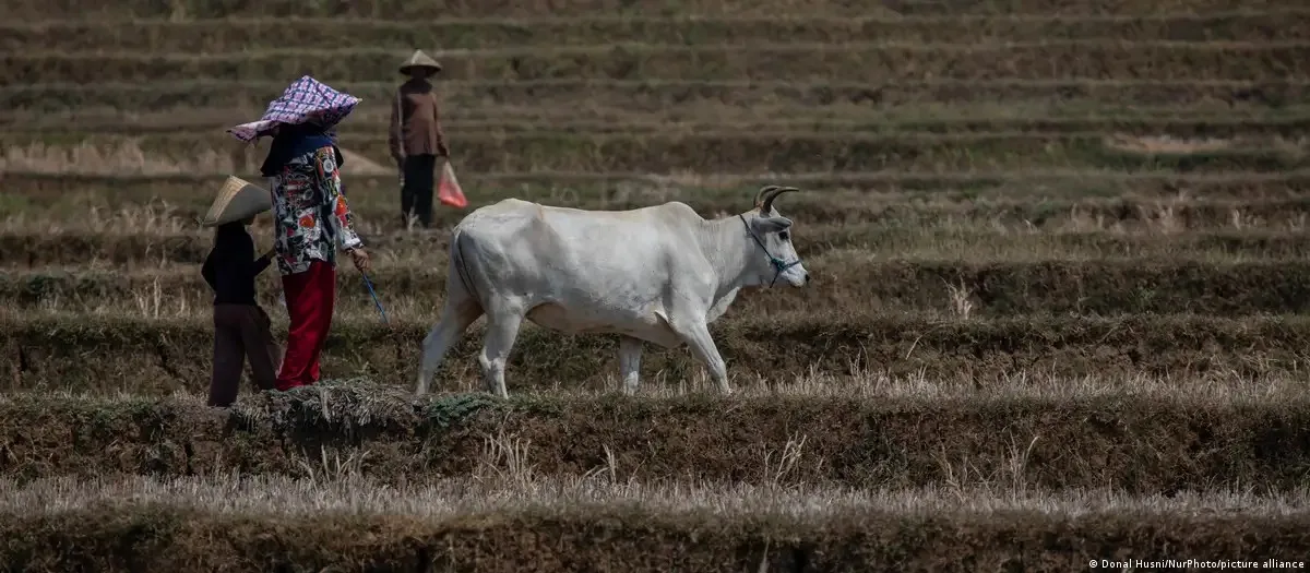 Mudanças climáticas e crises alimentares ampliam riscos de conflito, aponta pesquisa