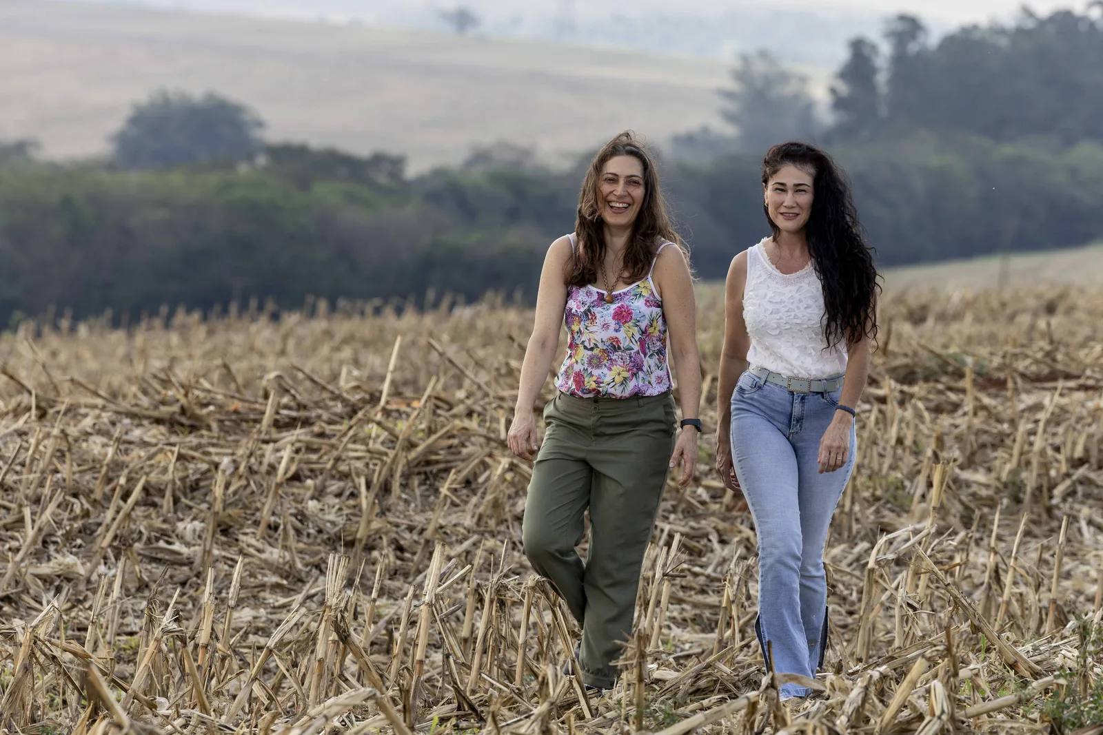 Participantes de campanha de 2002 seguem caminhos políticos distintos