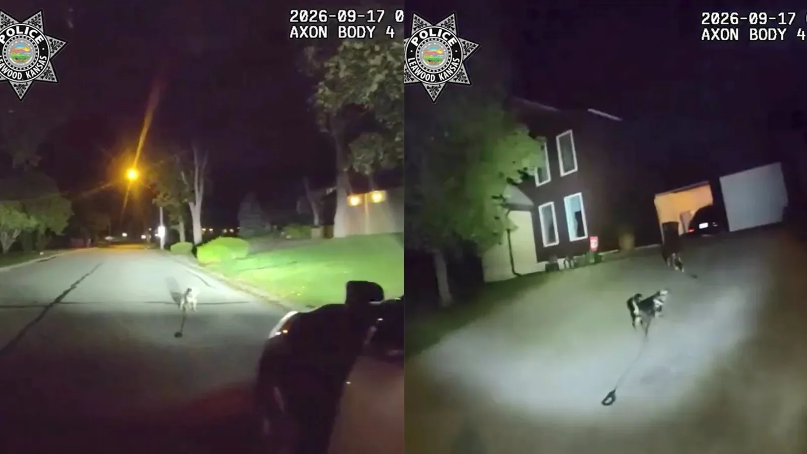 Tutor é encontrado após cão chamar atenção de policiais em Leawood
