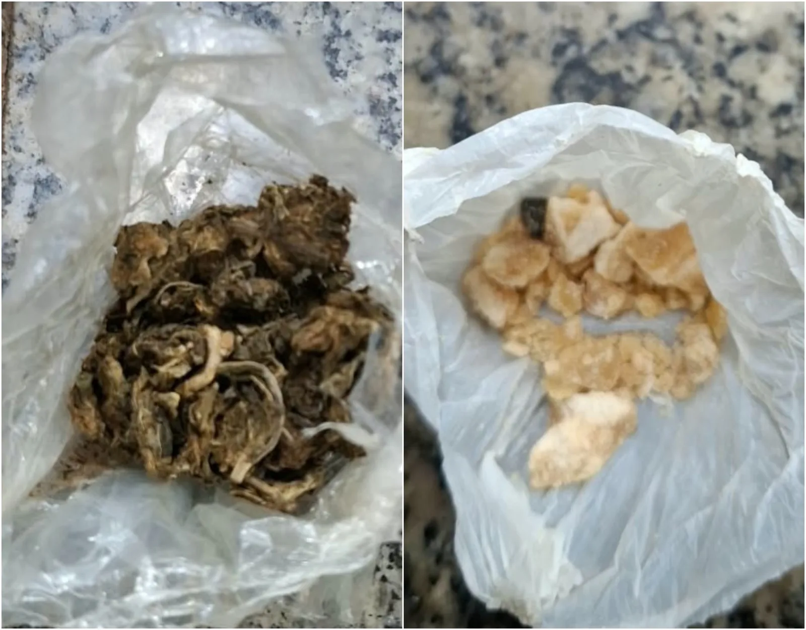Polícia prende jovem após fuga, resistência e apreensão de drogas em Boa Vista