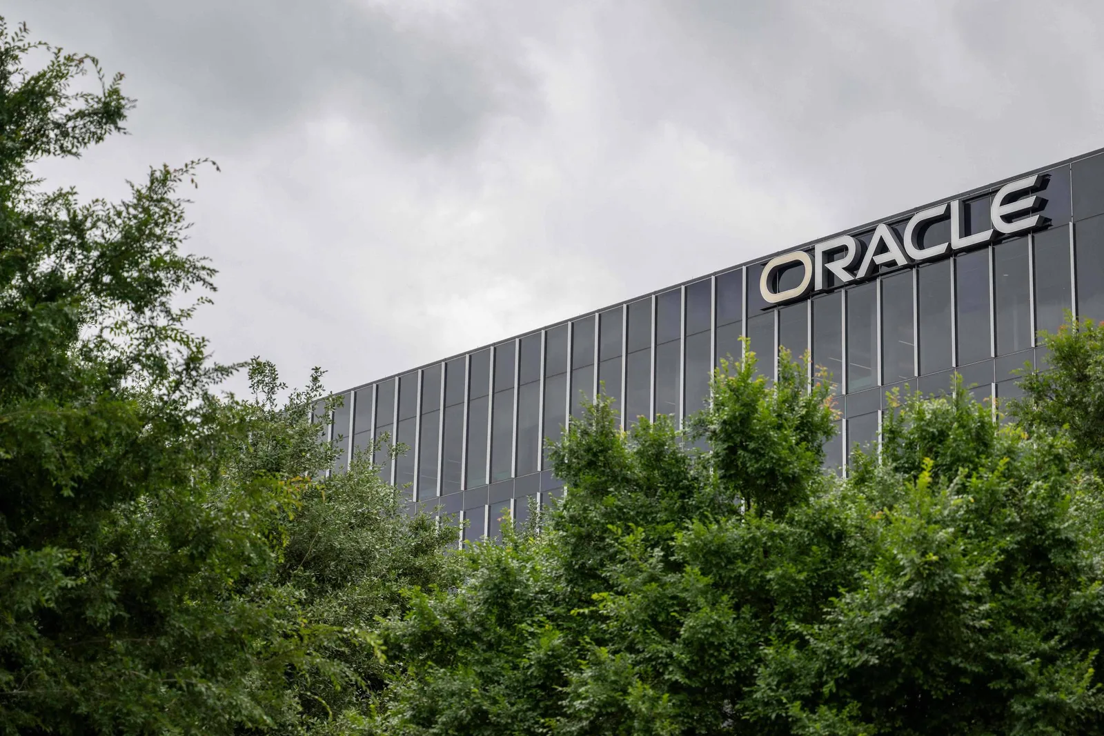 Oracle amplia infraestrutura de IA e prevê crescimento acelerado na nuvem