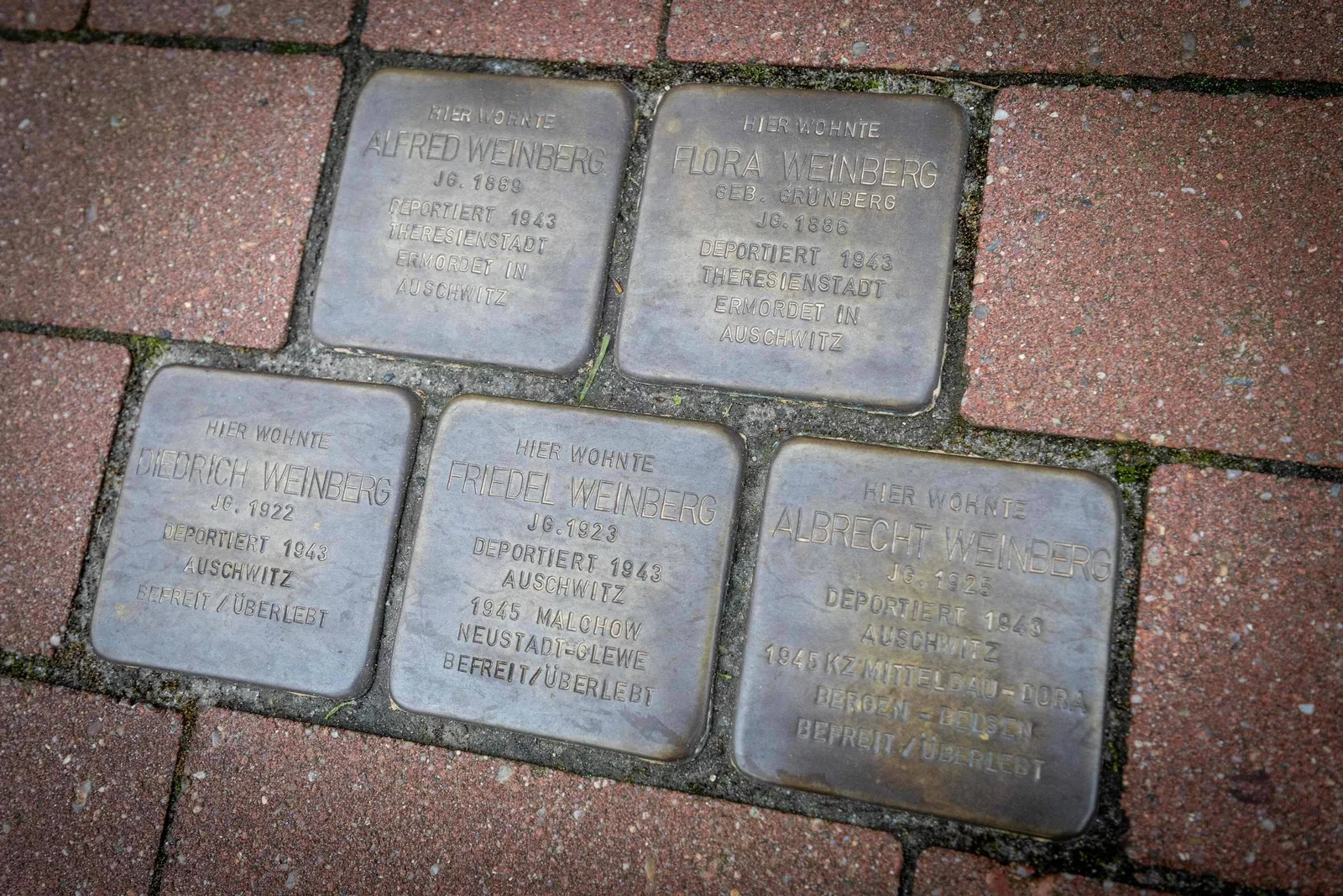 Placas em homenagem a vítimas do nazismo dividem cidade alemã