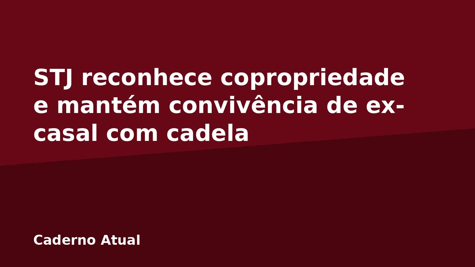 STJ reconhece copropriedade e mantém convivência de ex-casal com cadela