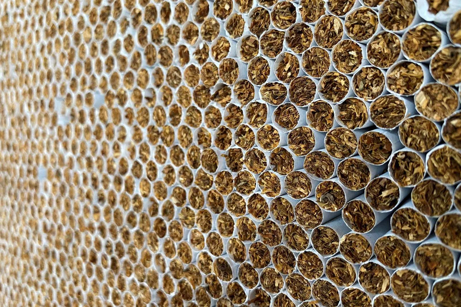 Europa registra alta na produção local de cigarros falsificados