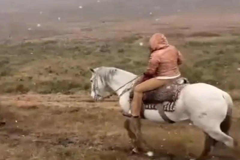 Massa polar leva neve e mínimas negativas a três estados do Sul