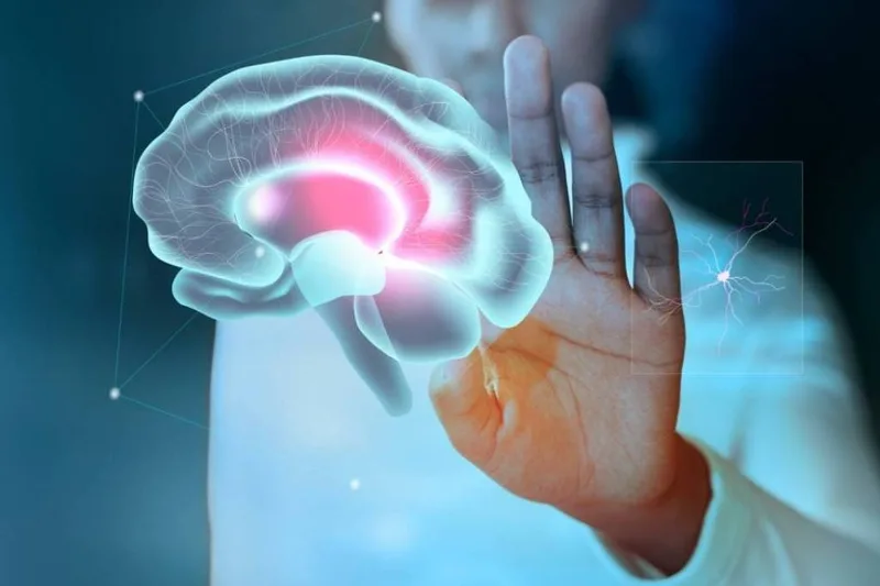 Pausa neuronal antes de crises pode orientar intervenção contra epilepsia