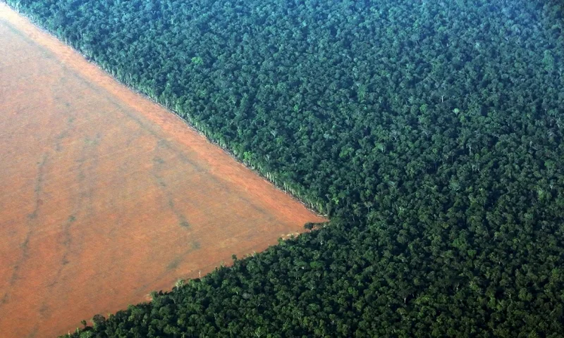Decisões do STF e do STJ divergem sobre APP de reservatórios anteriores a 2001
