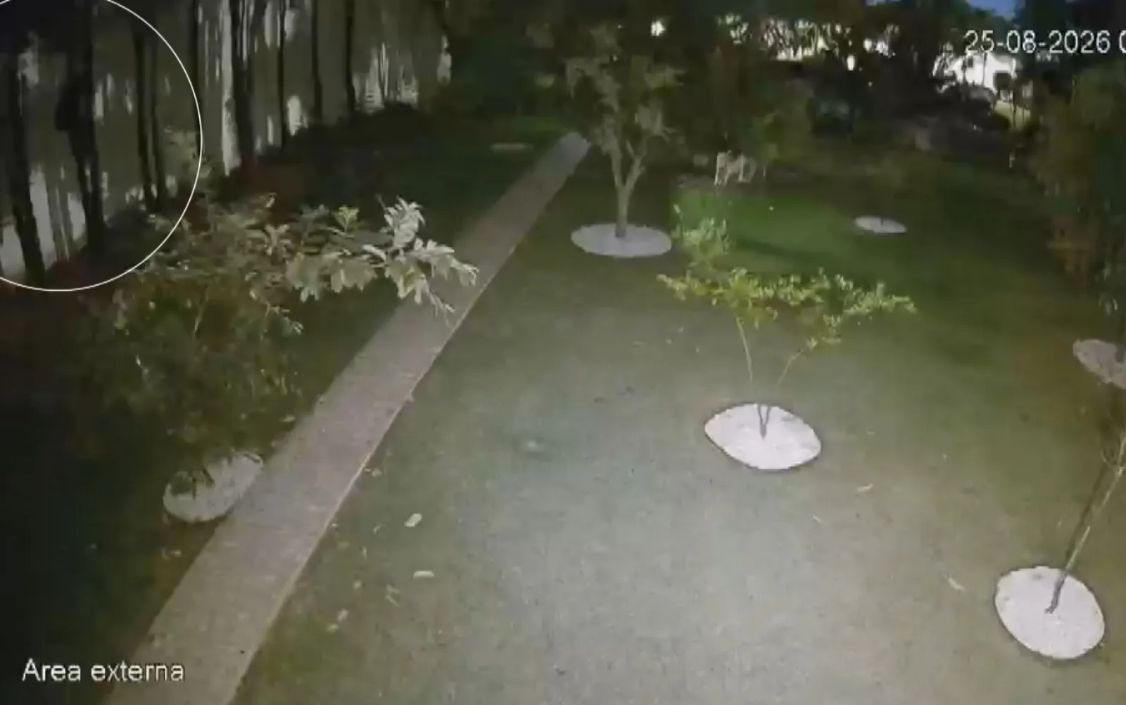 Operação cumpre mandados após roubo a casal em condomínio de Ribeirão Preto