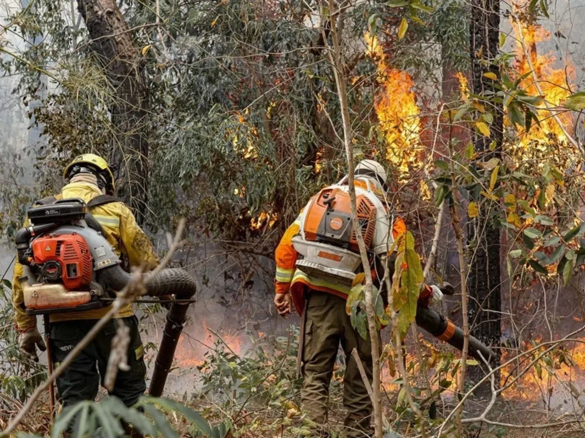 Brasil e Bolívia organizam operação conjunta contra incêndios no Pantanal