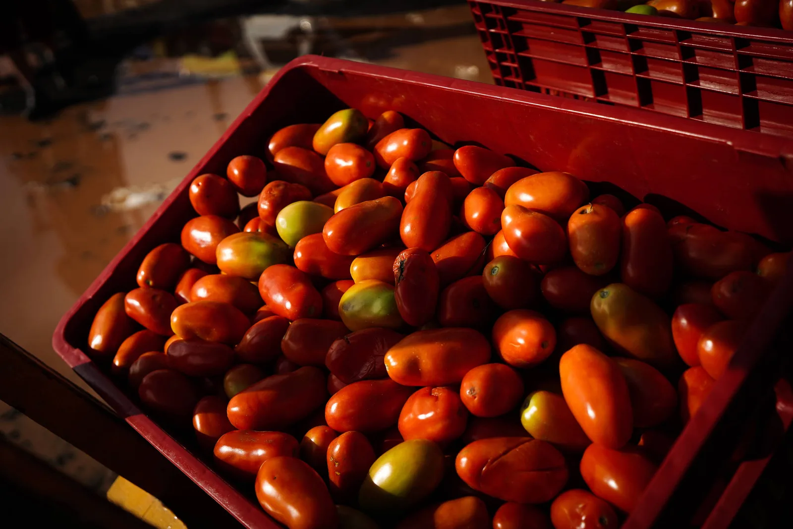 Alimentação no domicílio sobe 0,96% em setembro, com pressão do clima