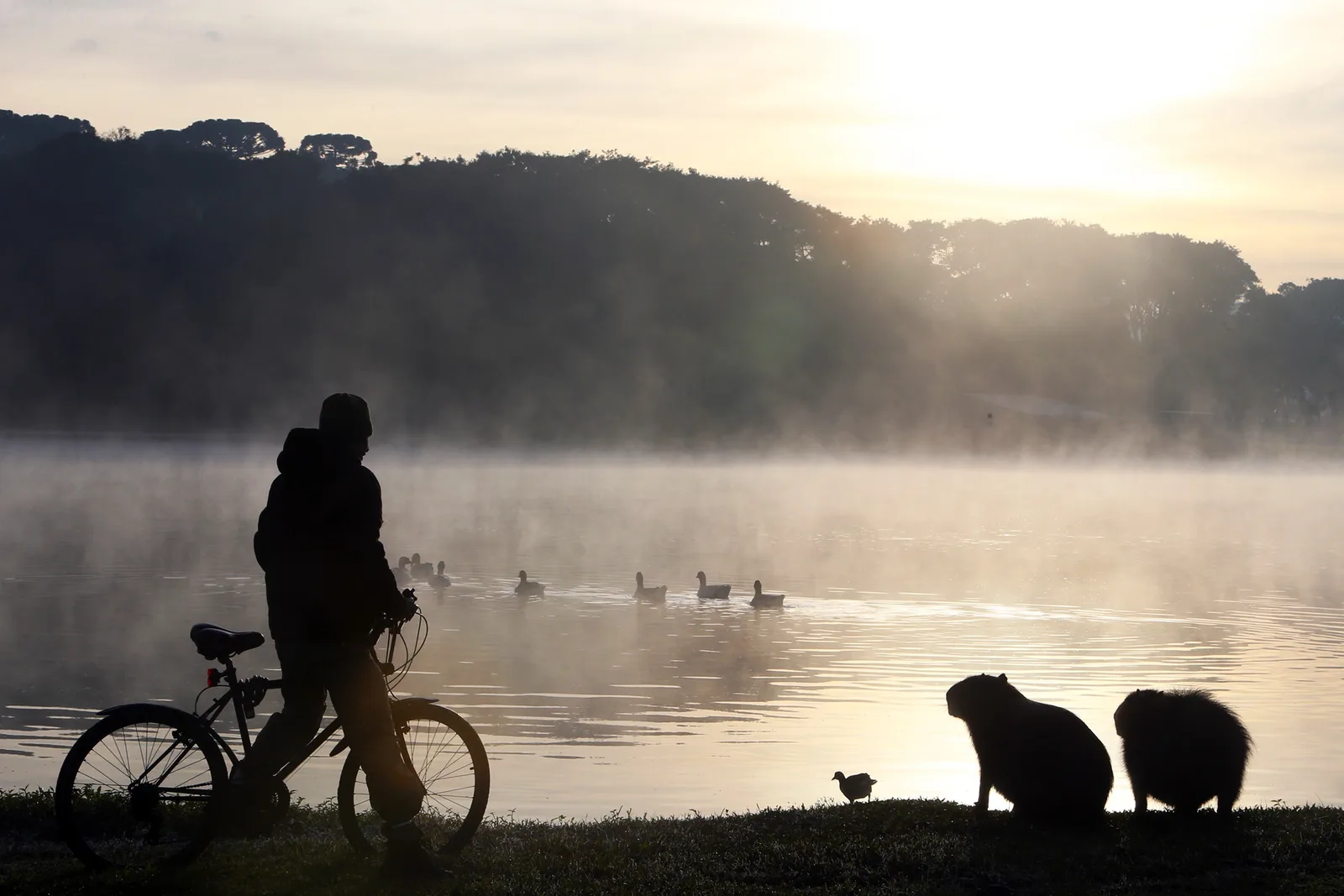 Frio avança pelo Paraná e leva mínimas a 1,9°C no Sul do estado