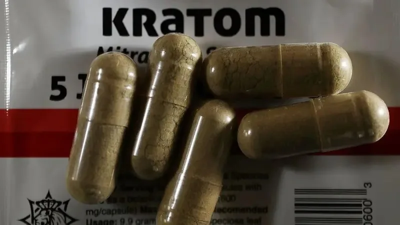 Kratom amplia uso nos EUA enquanto falta controle sobre composição e riscos
