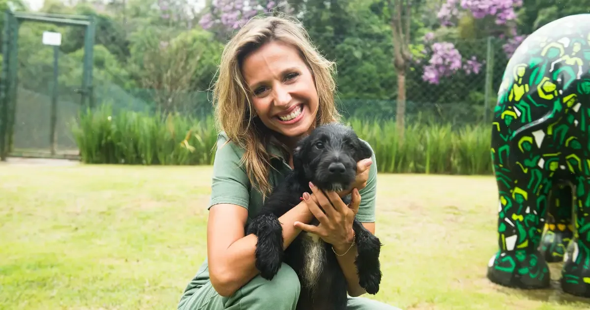Luisa Mell questiona doações a Virgínia e cita dificuldades em resgates