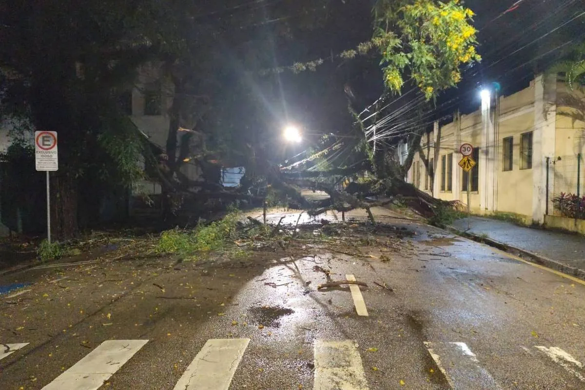 Temporal provoca resgates, danos e desalojamentos em nove municípios paulistas