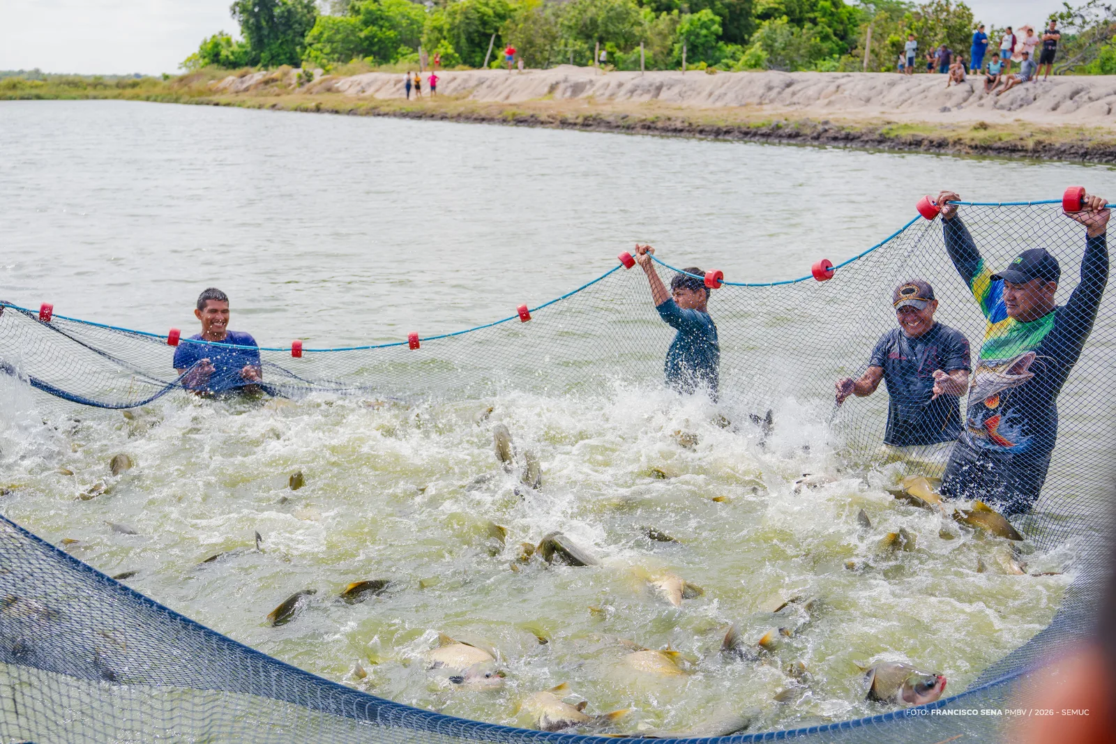 Projeto em Boa Vista já produziu 11 toneladas de peixes em comunidades indígenas