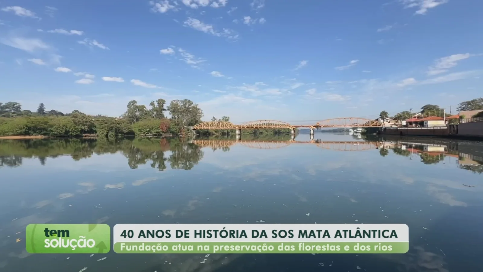 SOS Mata Atlântica celebra 40 anos com ações de recuperação no interior paulista