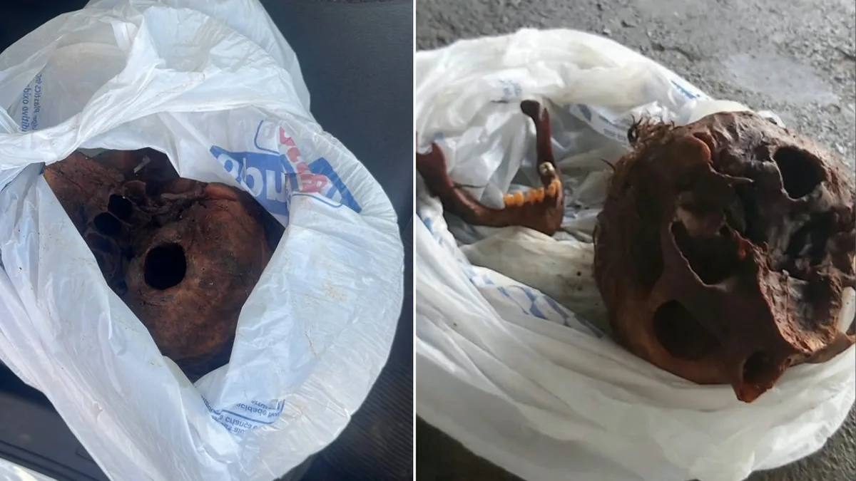 Quatro pessoas são detidas após retirada de crânio em cemitério de Contagem