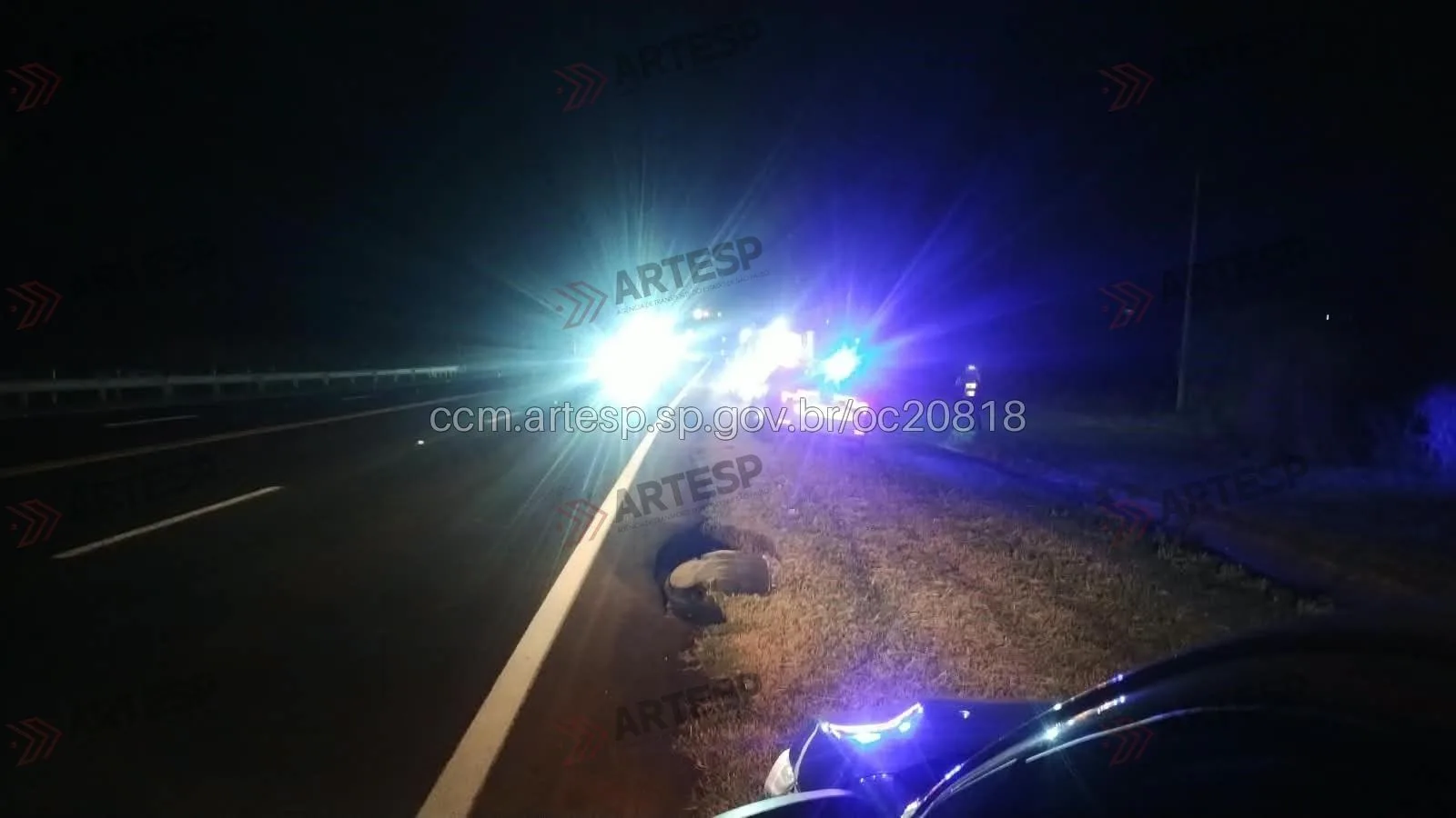 Polícia Civil investiga atropelamento fatal na SP-294, em Tupã