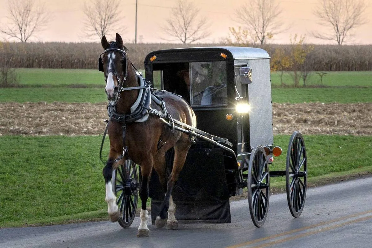Vacinação em casas tenta conter sarampo entre amish na Pensilvânia