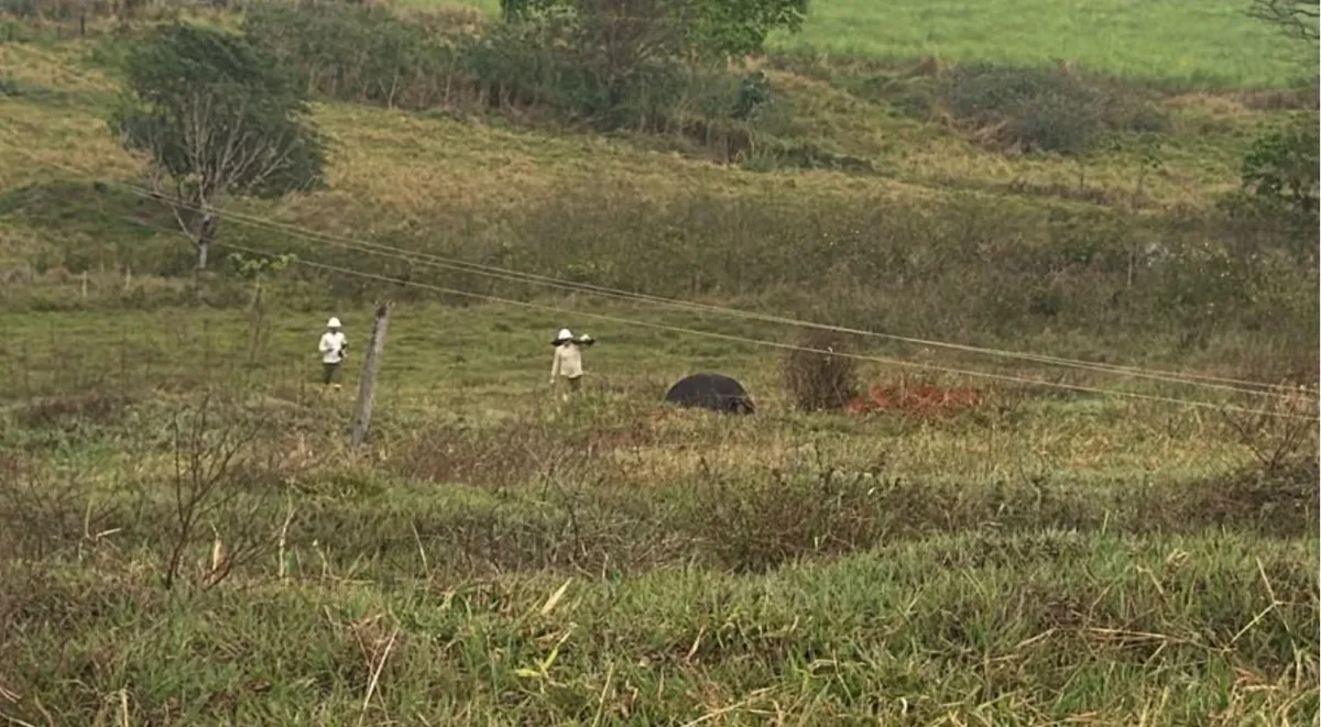 Temporal deixa quatro vacas mortas e causa danos no interior de São Paulo
