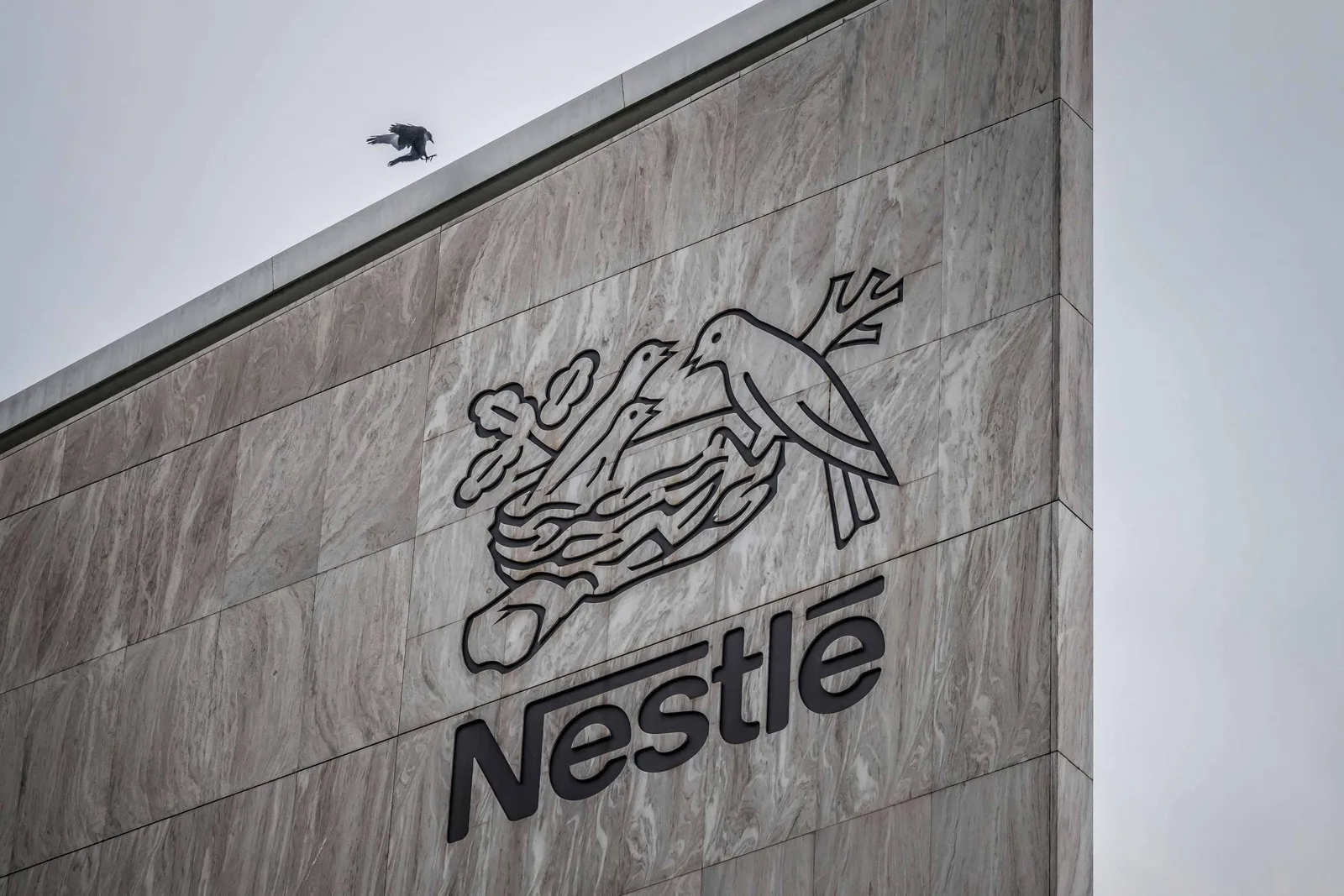 Regulador indiano abre três processos contra produtos infantis da Nestlé