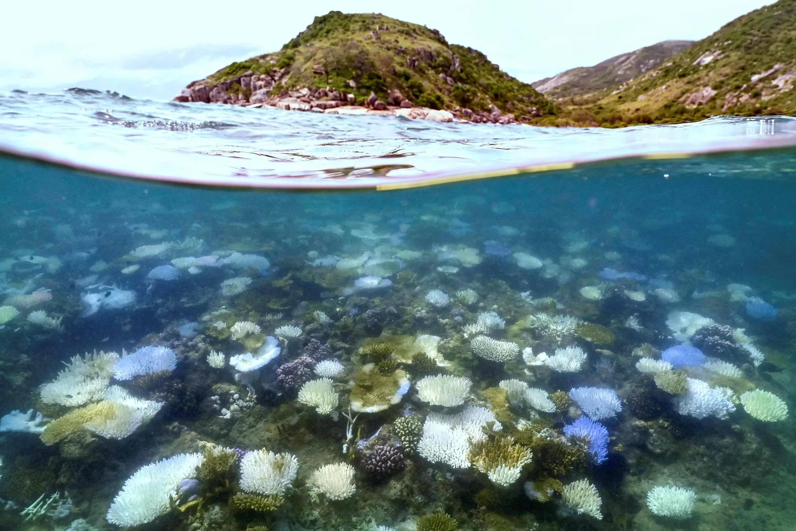 Temperatura dos oceanos amplia riscos para alimentos, energia e áreas costeiras